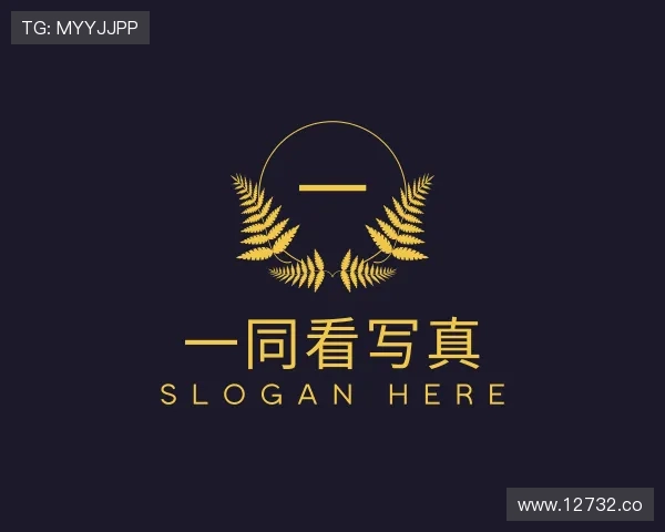 导引一同看写真